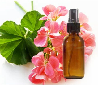 GERANIUM-HYDROSOL.png