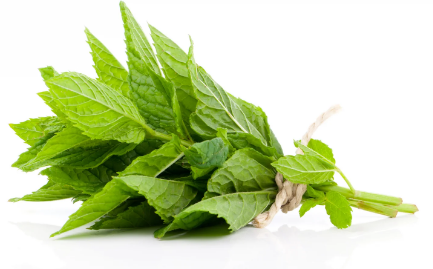 SPEARMINT-HYDROSOL.png